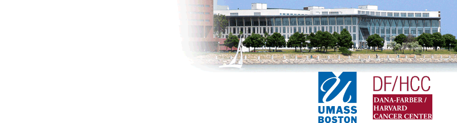 header photo